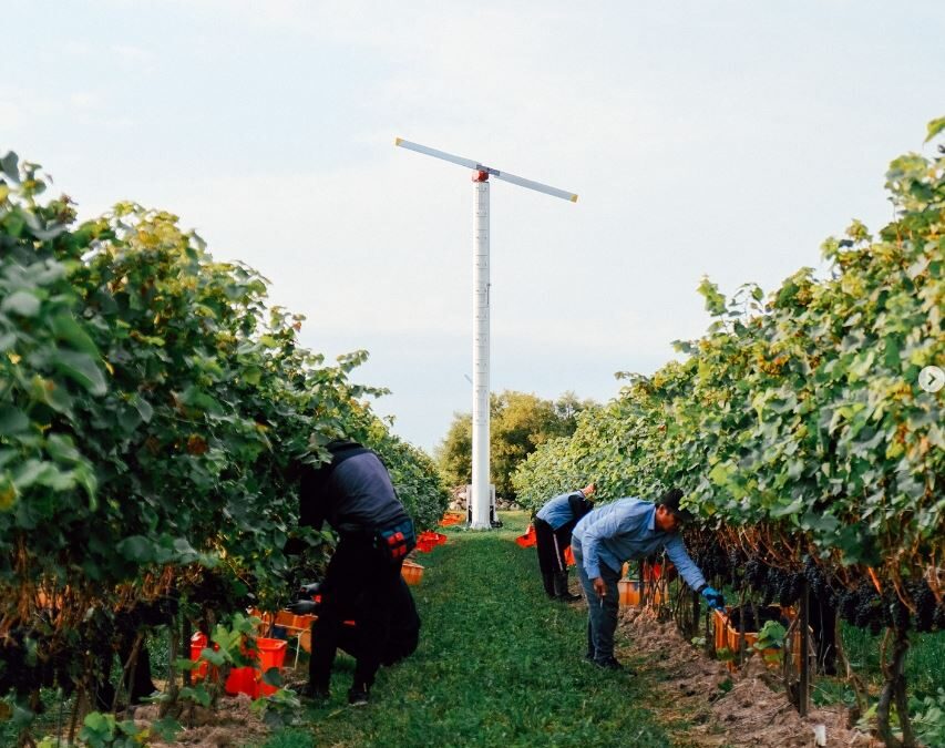 Five Tips to Get Started with Sustainable Winegrowing Ontario Certification