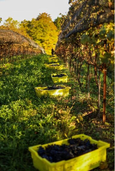 Poured Article Cover